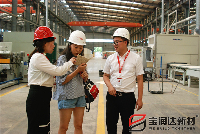 迪拜客戶(hù)來(lái)訪寶潤(rùn)達(dá)參觀考察 洽談合作