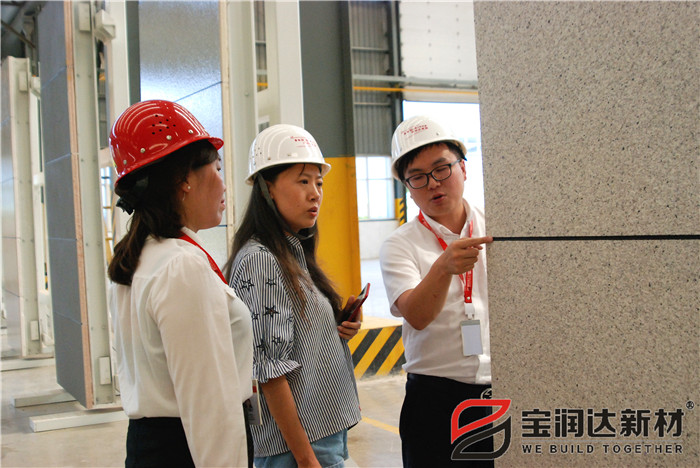 迪拜客戶來訪寶潤(rùn)達(dá)參觀考察 洽談合作