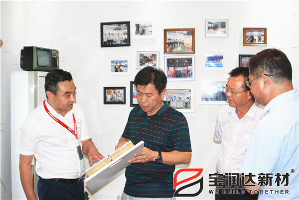 省省住建部專(zhuān)家組來(lái)訪(fǎng)寶潤(rùn)達(dá)參觀考察