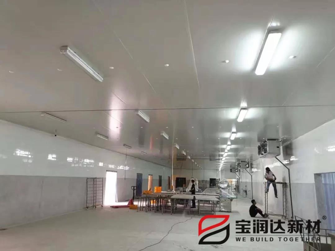 寶潤達(dá)聚氨酯冷庫板案例